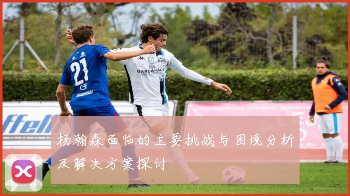 杨瀚森面临的主要挑战与困境分析及解决方案探讨