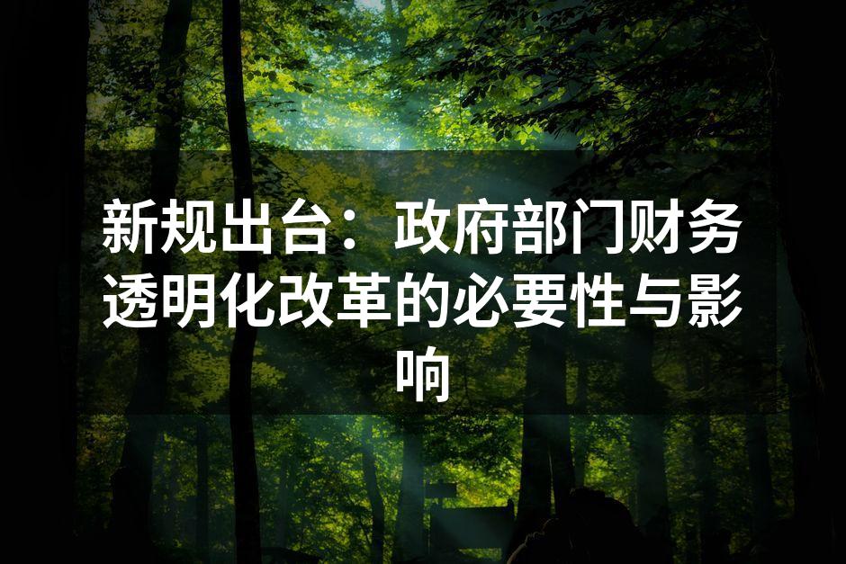 新规出台：政府部门财务透明化改革的必要性