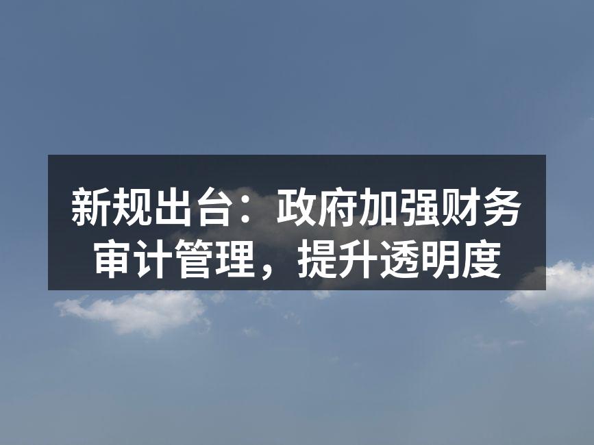 新规出台：政府加强财务审计管理，提升透明