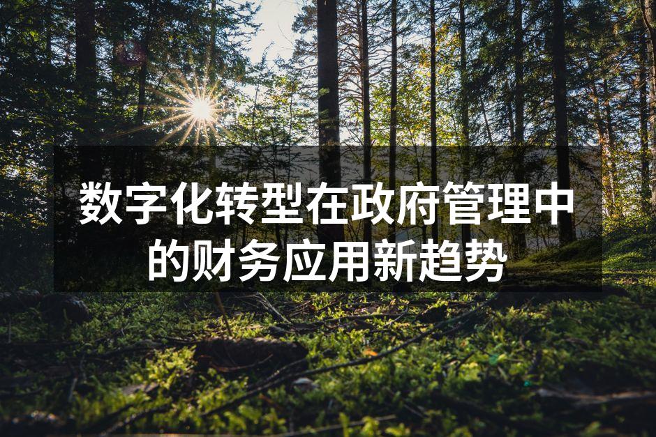 数字化转型在政府管理中的财务应用新趋势