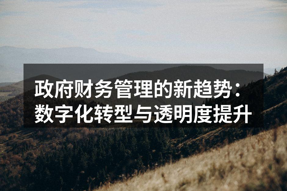 政府财务管理的新趋势：数字化转型与透明度