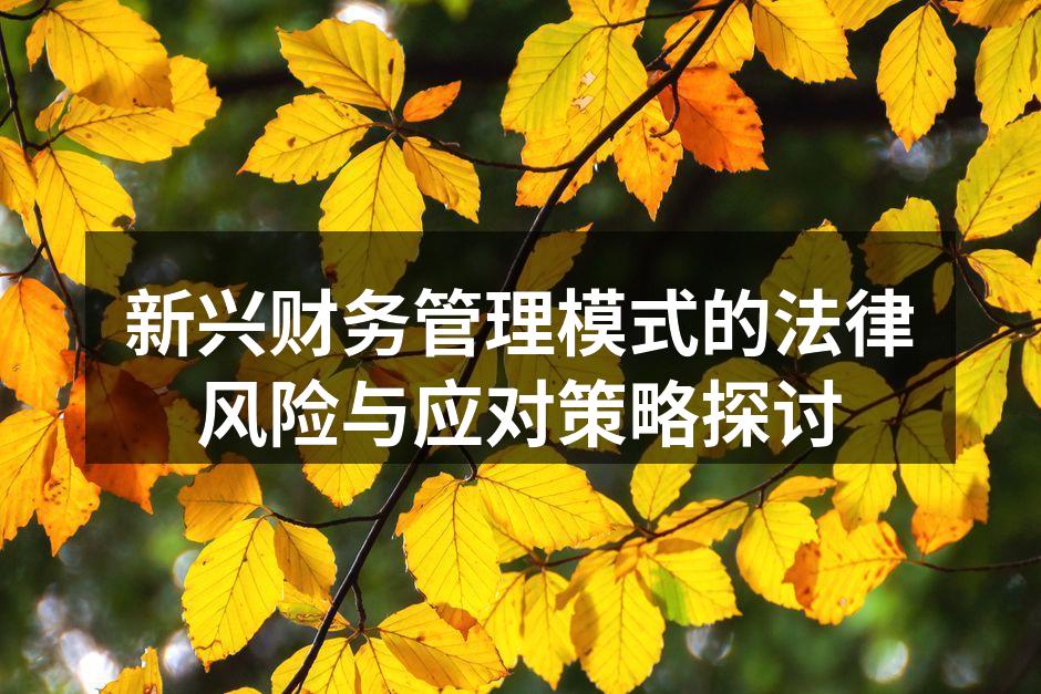 新兴财务管理模式的法律风险与应对策略探讨